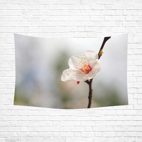 Proud white Japanese apricot flower in spring.