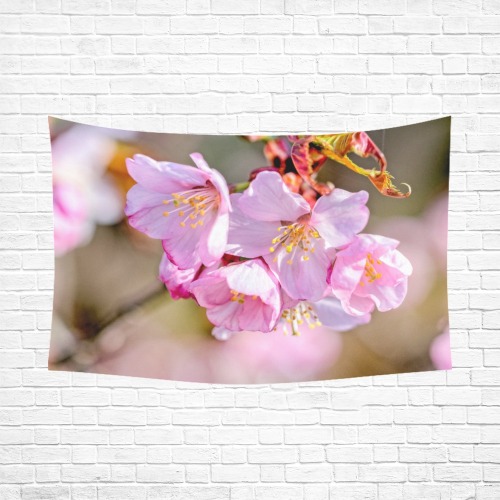 The youth of the world. Sakura flowers in spring.