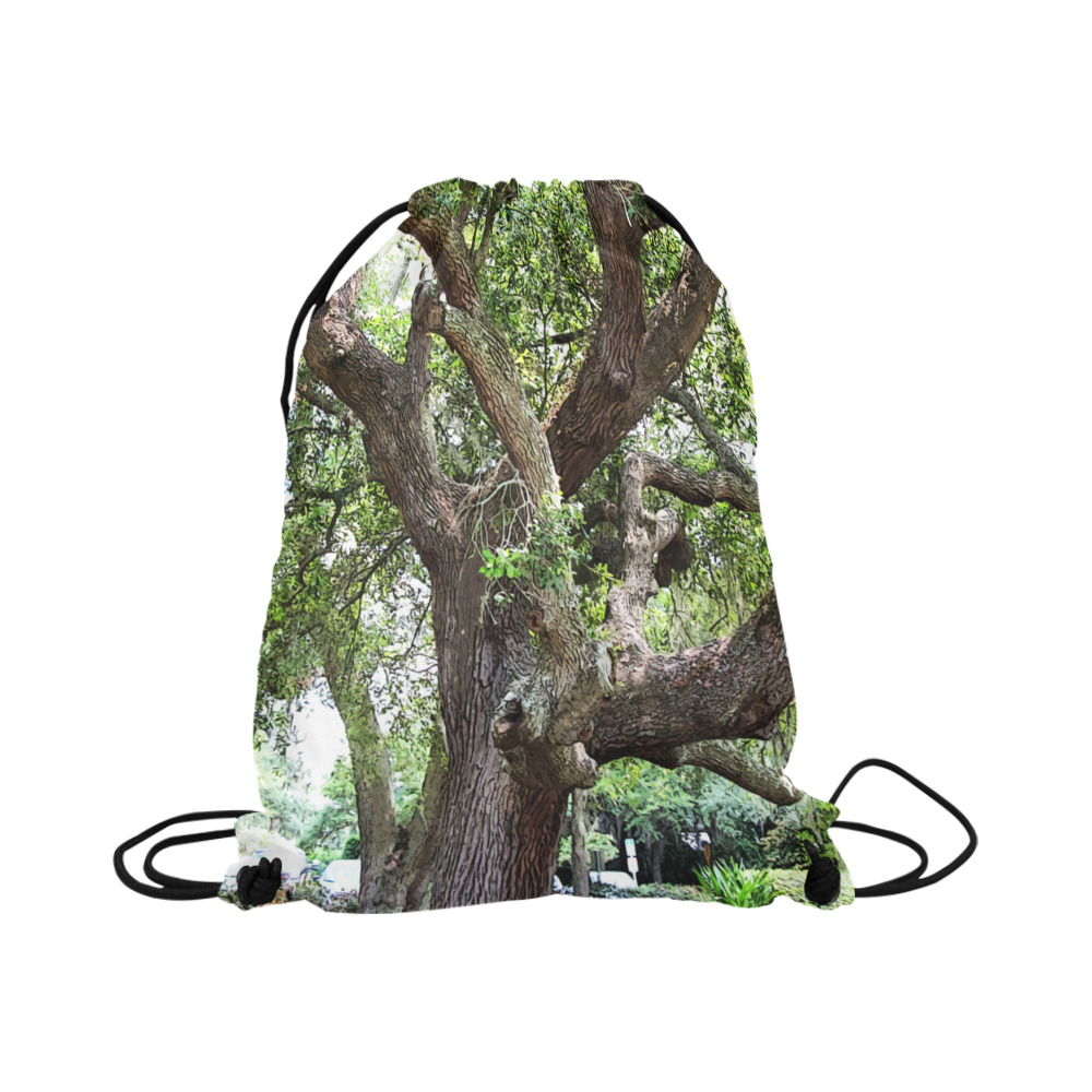 Oak Tree In The Park 7659 Stinson Park Jacksonville Florida Large Drawstring Bag Model 1604 (Twin Sides)  16.5"(W) * 19.3"(H)