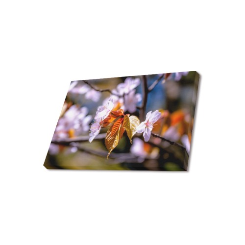 sakura tree flower flora spring blossom cherry Upgraded Canvas Print 18"x12"
