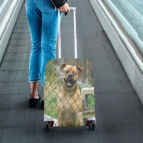 A Smiling Dog Luggage Cover/Small 18"-21"
