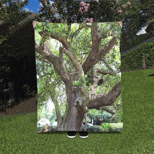 Oak Tree In The Park 7659 Stinson Park Jacksonville Florida Quilt 40"x50"