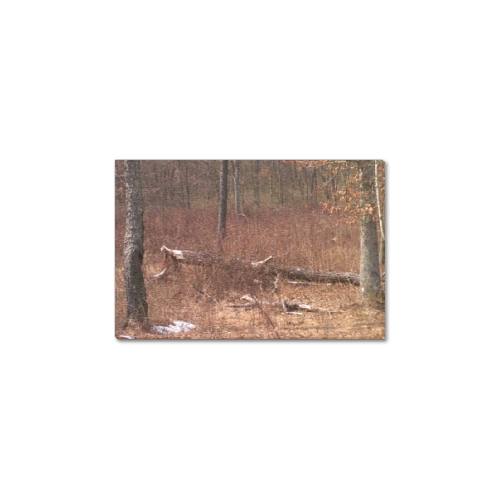 Falling tree in the woods Upgraded Canvas Print 6"x4"