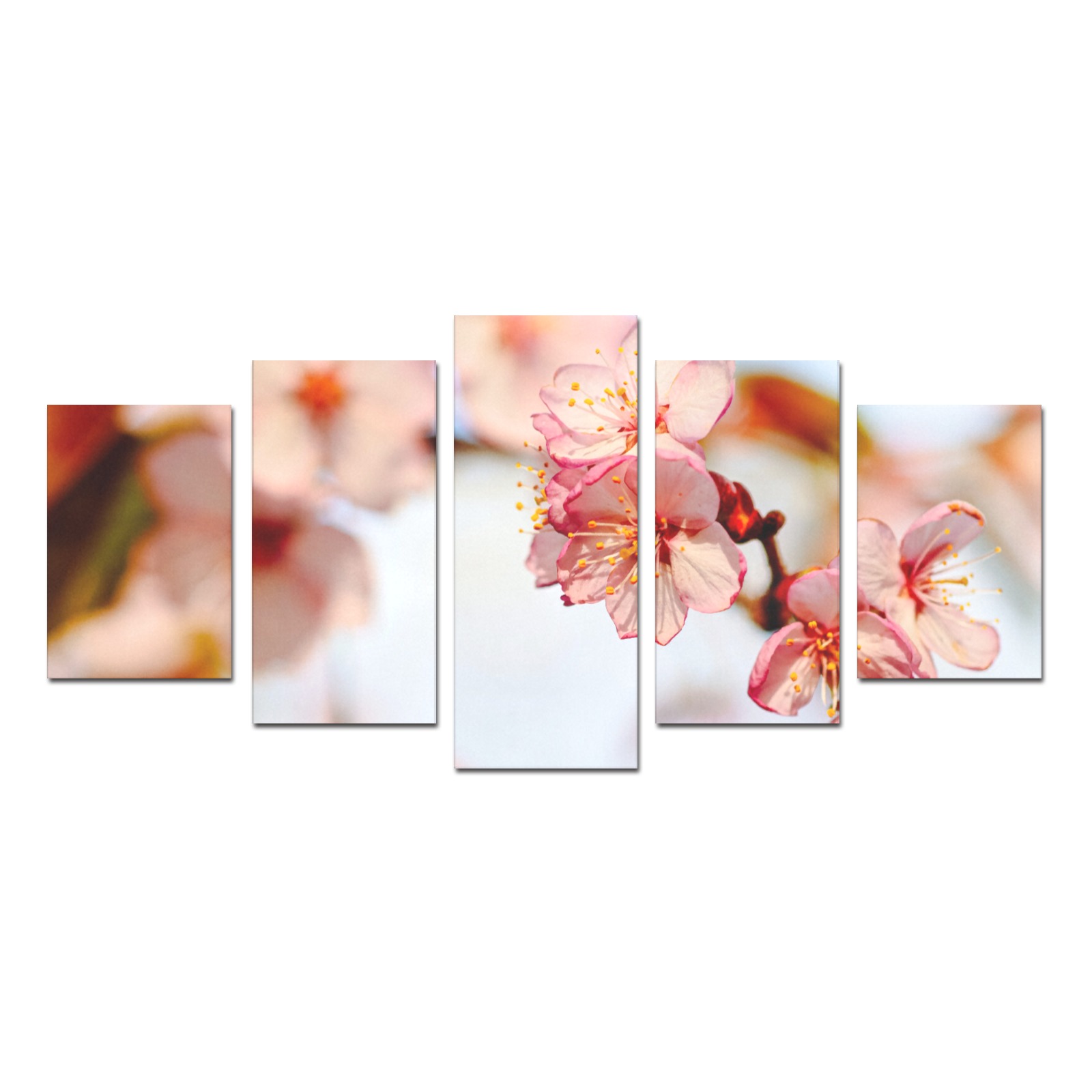 Stunning natural composition of sakura flowers. Canvas Print Sets D (No Frame)
