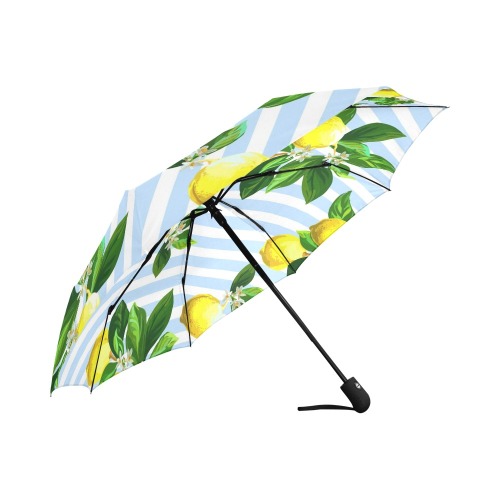 bb frhh Auto-Foldable Umbrella (Model U04)