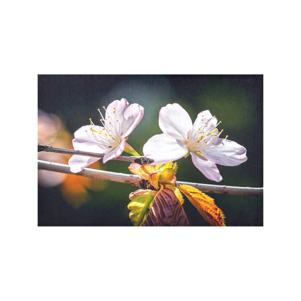 Slender sakura flowers. Sunlight and shadows. Placemat 12’’ x 18’’ (Set of 6)