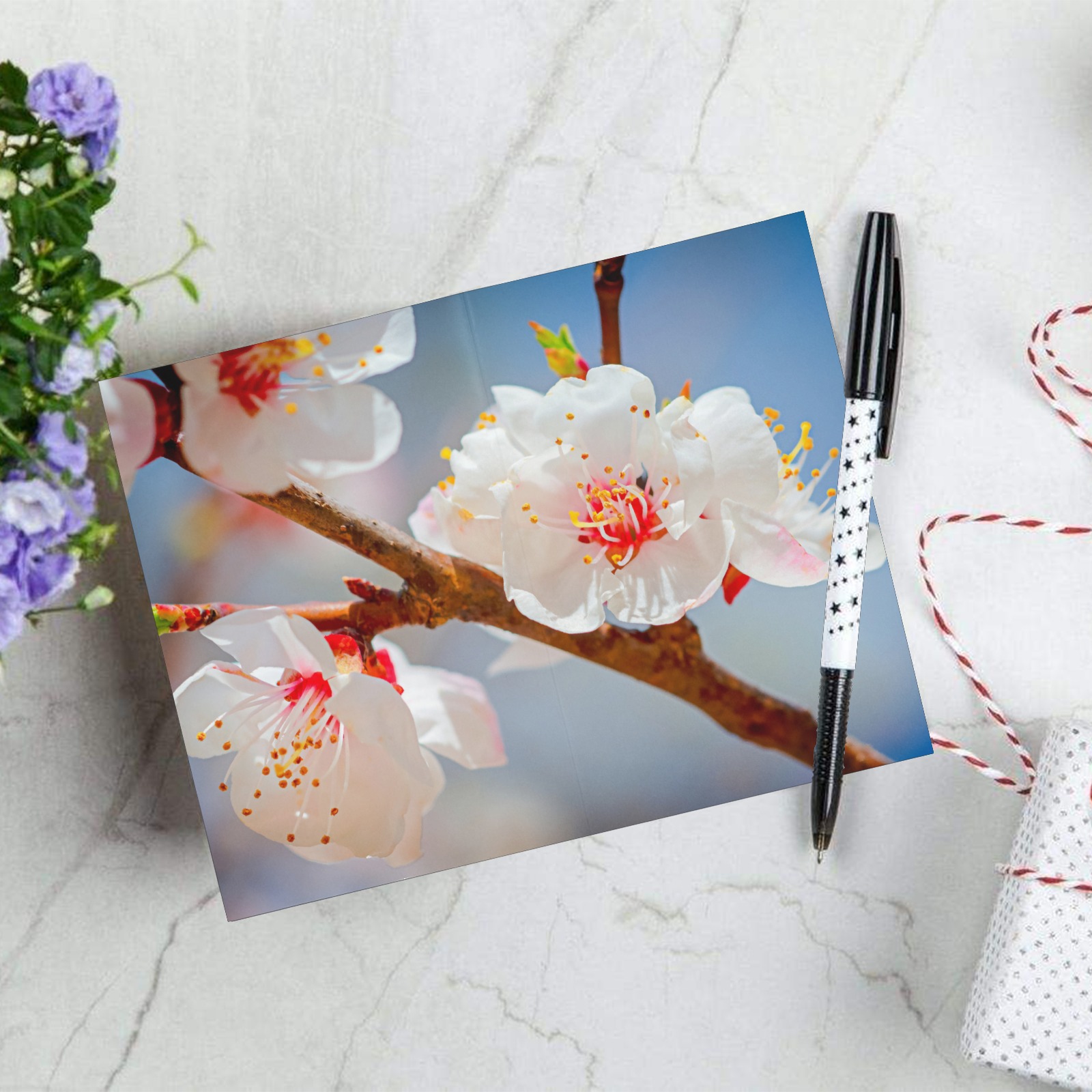 Japanese apricot flowers. Enjoy Hanami season. Greeting Card 8"x6"