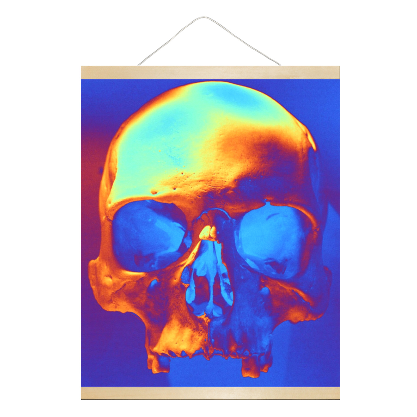 Skull in Blue and Gold Hanging Poster 16"x20"