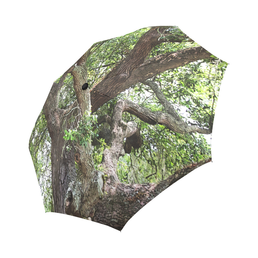 Oak Tree In The Park 7659 Stinson Park Jacksonville Florida Auto-Foldable Umbrella (Model U04)