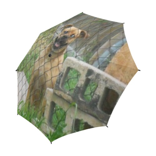 A Smiling Dog Semi-Automatic Foldable Umbrella (Model U05)