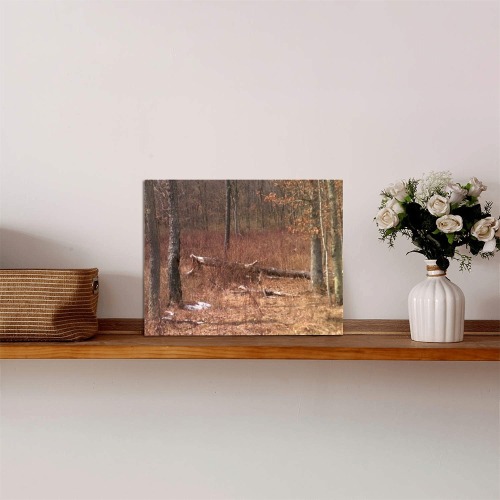 Falling tree in the woods Photo Panel for Tabletop Display 8"x6"