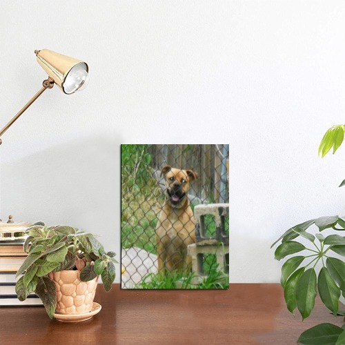 A Smiling Dog Photo Panel for Tabletop Display 6"x8"