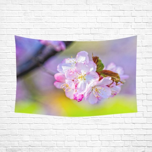 Lovely pink sakura cherry blossoms in spring.