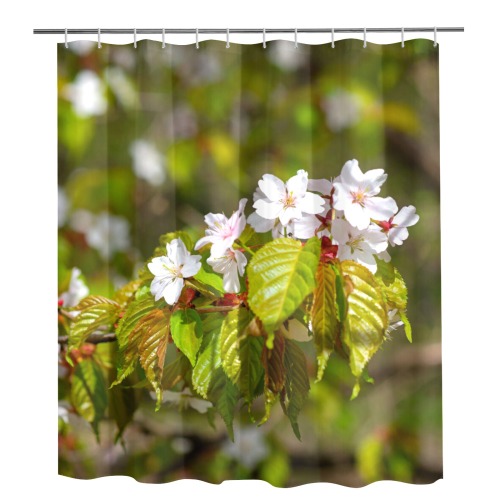 A row of sakura cherry flowers on a tree in spring Shower Curtain 72"x84"