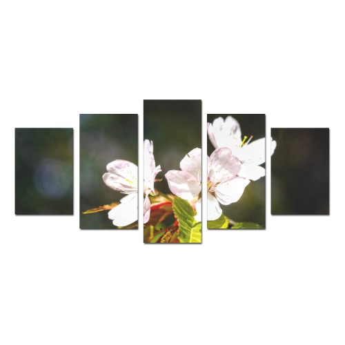 Sakura flowers enjoy sunshine. Hanami season magic Canvas Print Sets D (No Frame)