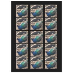 Emperor and Emerald Personalized Temporary Tattoo (15 Pieces)