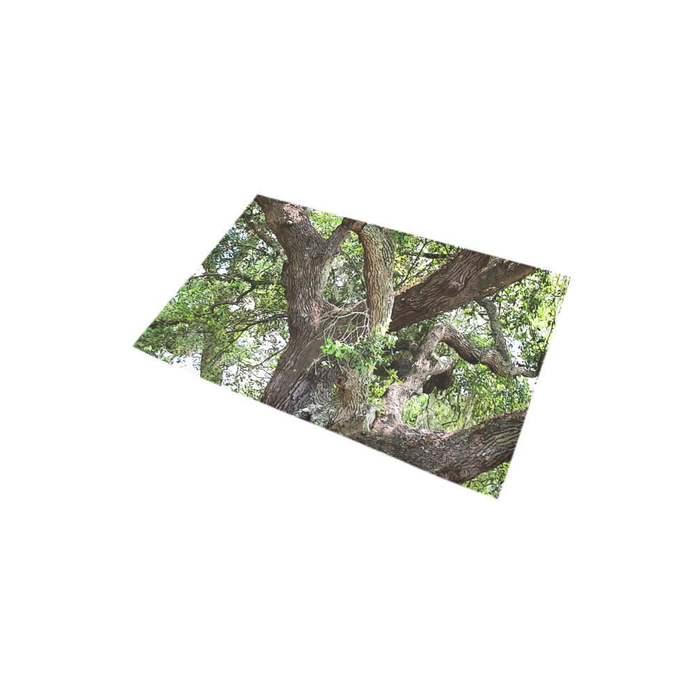 Oak Tree In The Park 7659 Stinson Park Jacksonville Florida Bath Rug 20''x 32''