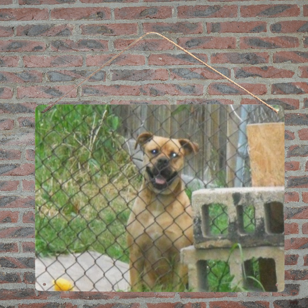 A Smiling Dog Metal Tin Sign 16"x12"