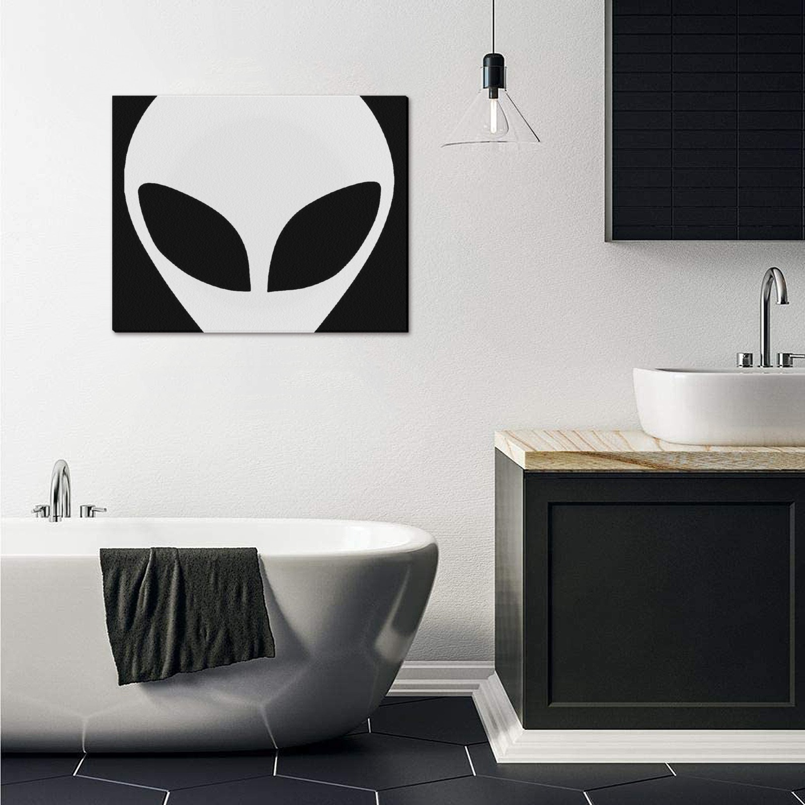 Alien 1 Frame Canvas Print 20"x16"