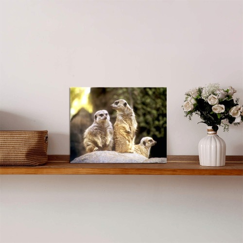 Act Natural Photo Panel for Tabletop Display 8"x6"