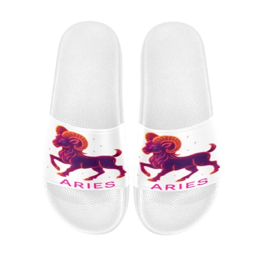 Aries Slides