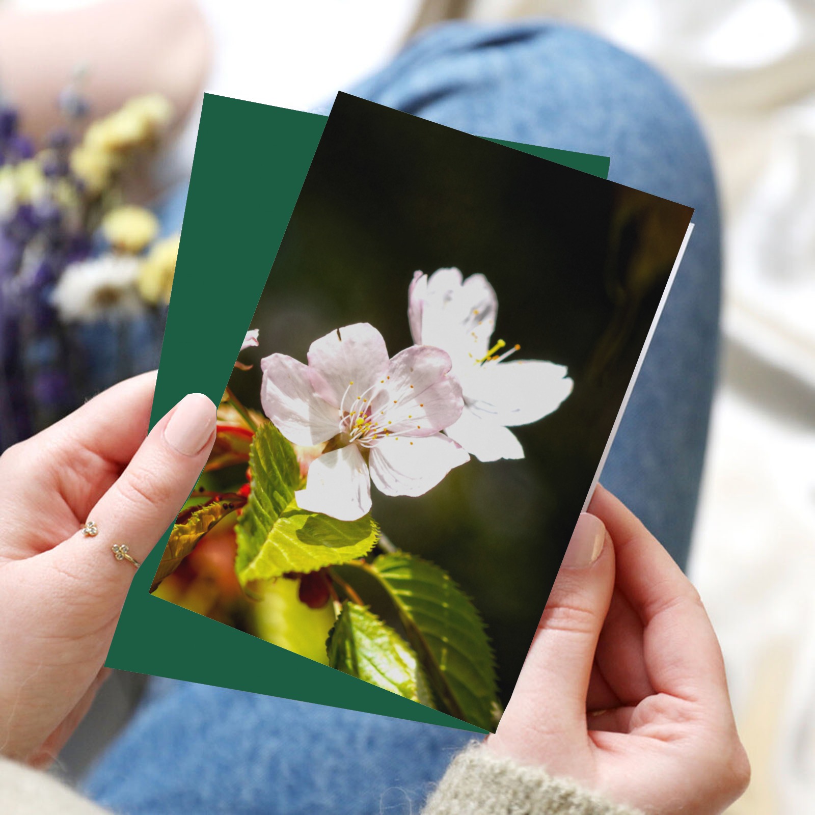 Sakura flowers enjoy sunshine. Hanami season magic Greeting Card 8"x6"