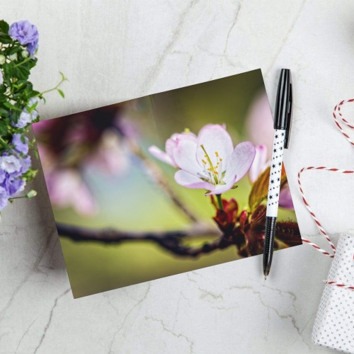 Pleasant sakura cherry flowers on a sunny day. Greeting Card 8"x6"