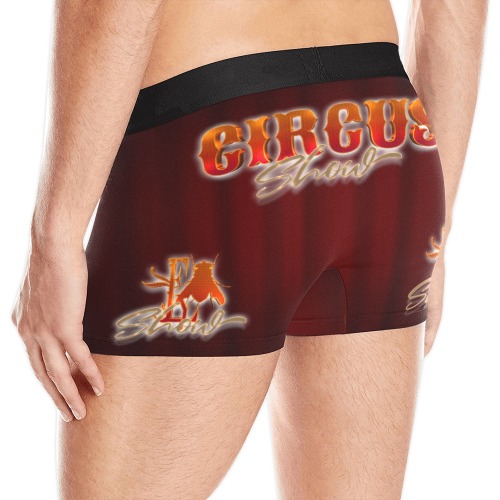 Circus Collectable Fly Men's All Over Print Boxer Briefs (Model L10)