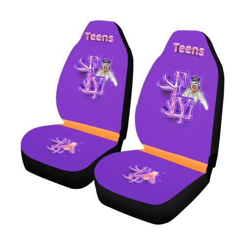 Teen Collectable Fly Car Seat Covers (Set of 2)