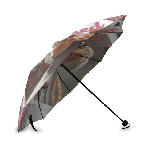 Umbrella Foldable Umbrella (Model U01)