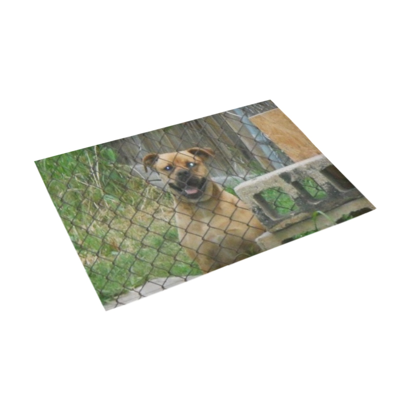 A Smiling Dog Azalea Doormat 30" x 18" (Sponge Material)