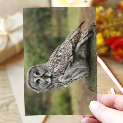 owl 2 Greeting Card 4"x6"