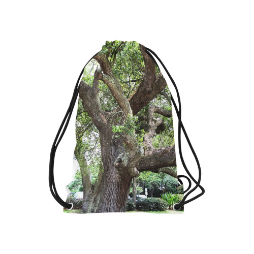 Oak Tree In The Park 7659 Stinson Park Jacksonville Florida Small Drawstring Bag Model 1604 (Twin Sides) 11"(W) * 17.7"(H)