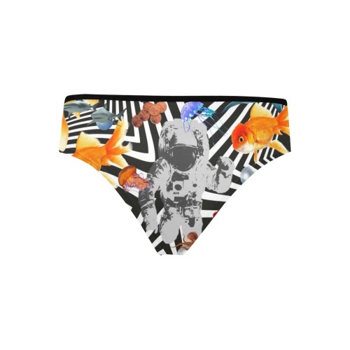 POINT OF ENTRY 2 Women's Hipster Panties (Model L33)