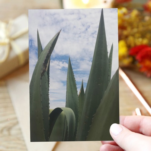 Agave Clouds Greeting Card 4"x6"
