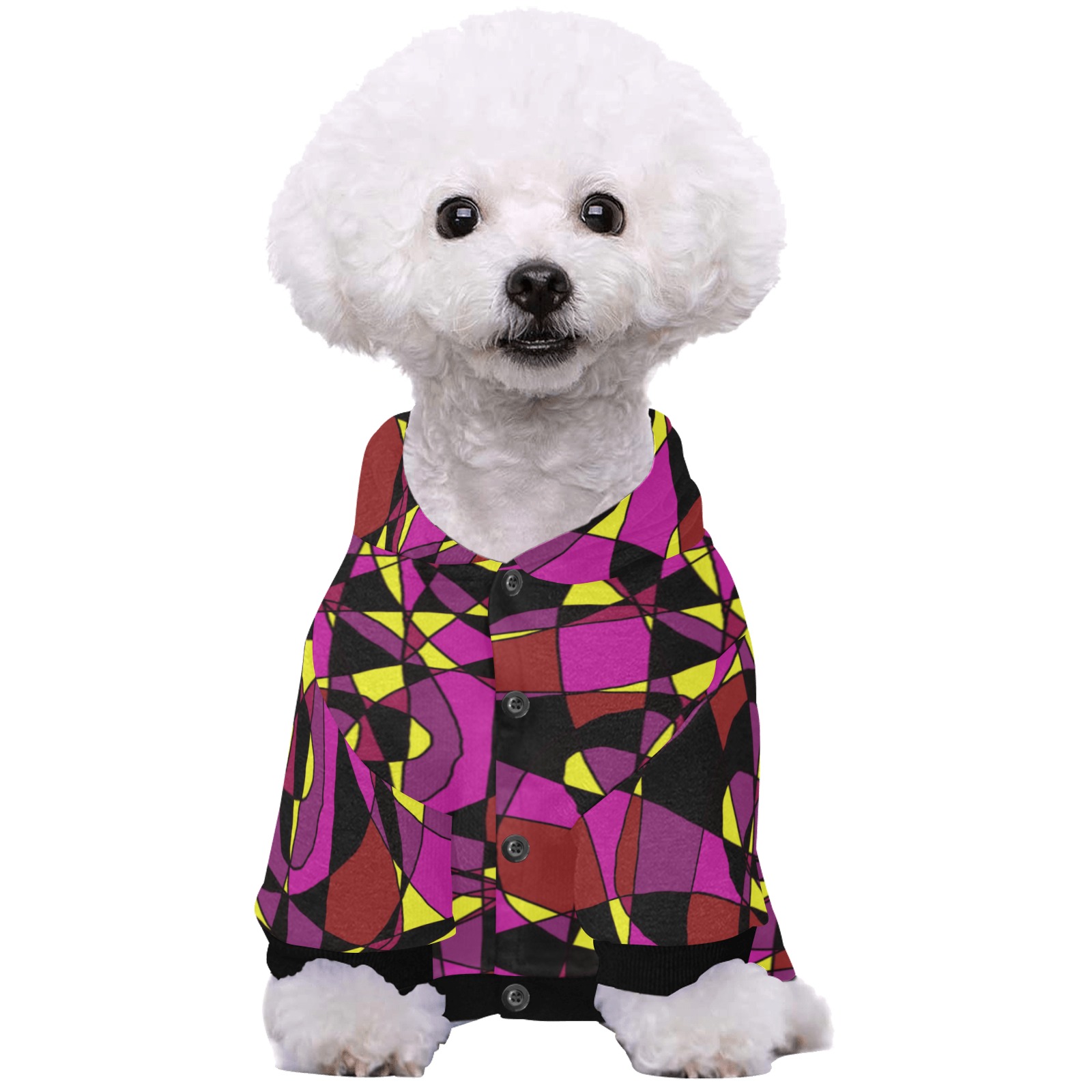 Multicolor Abstract Design S2020 Pet Dog Hoodie