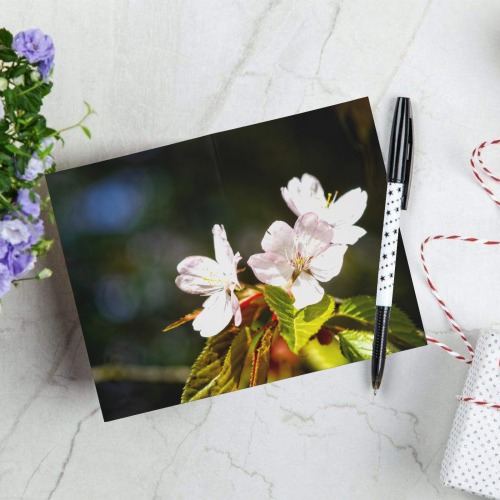 Sakura flowers enjoy sunshine. Hanami season magic Greeting Card 8"x6"