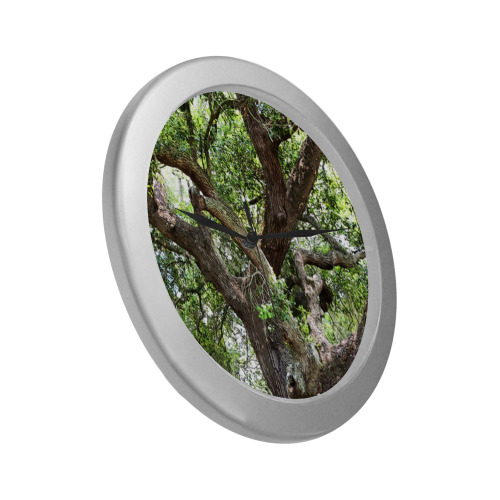 Oak Tree In The Park 7659 Stinson Park Jacksonville Florida Silver Color Wall Clock