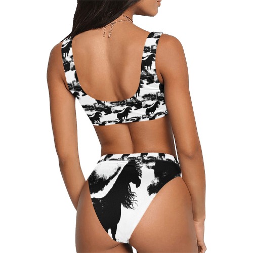 Horse Long Hair - Black - Clouds - Grass Sport Top & High-Waisted Bikini Swimsuit (Model S07)