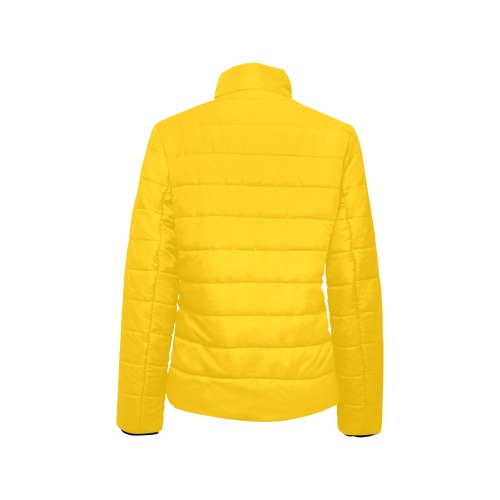 color mango Women's Stand Collar Padded Jacket (Model H41)
