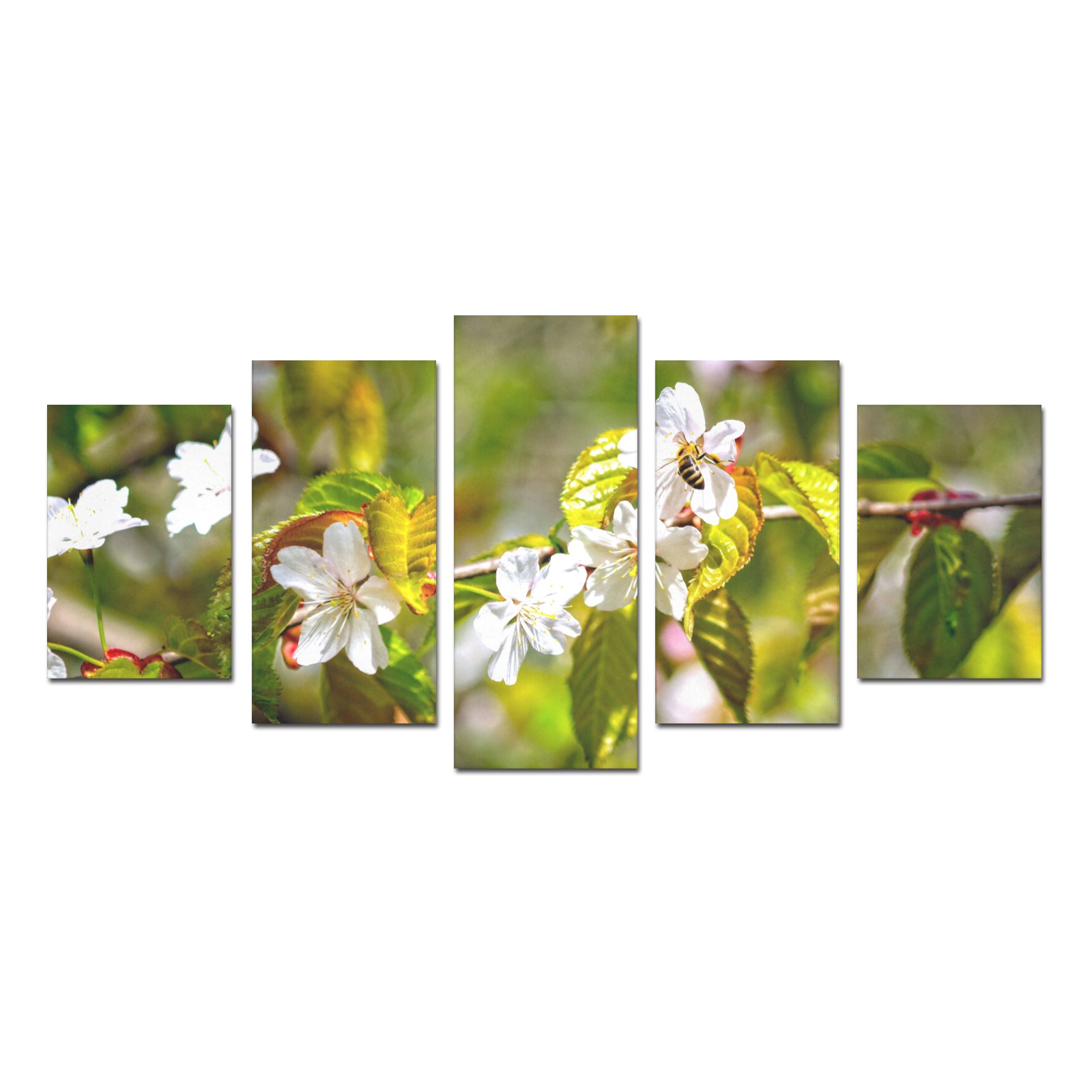 Small bee on a sakura flowers on a sunny day. Canvas Print Sets D (No Frame)