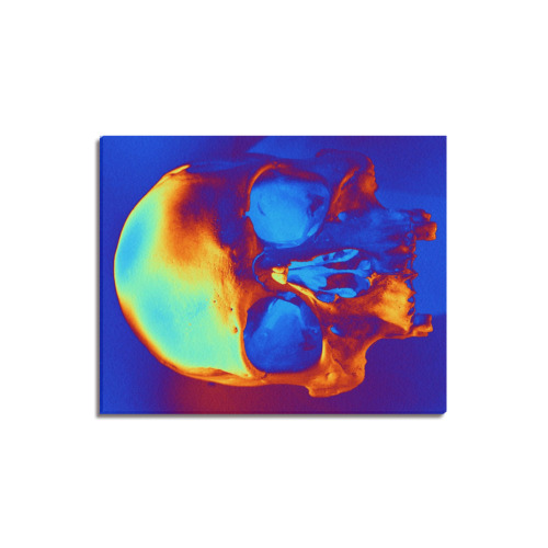 Skull in Blue and Gold Upgraded Canvas Print 16"x20"