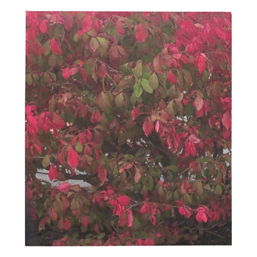Changing Seasons Collection Quilt 70"x80"