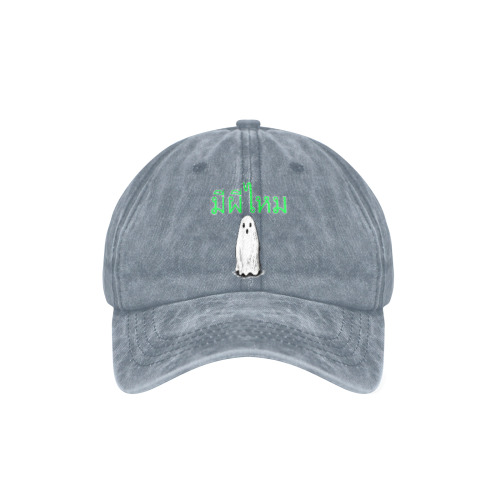 1113 Is there a ghost