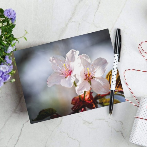 Two absolutely beautiful sakura cherry flowers. Greeting Card 8"x6"