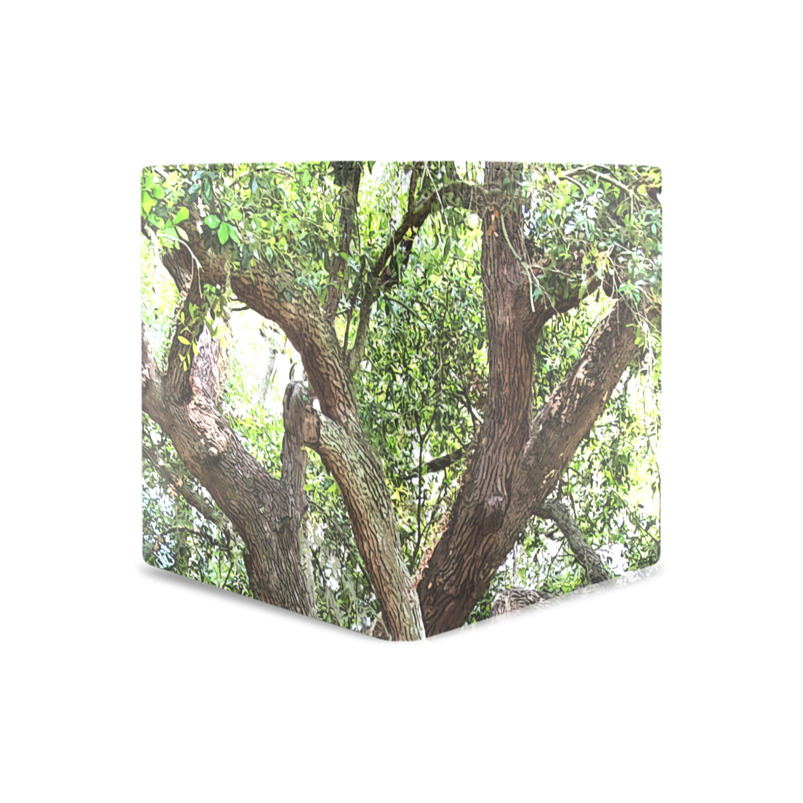 Oak Tree In The Park 7659 Stinson Park Jacksonville Florida Men's Leather Wallet (Model 1612)