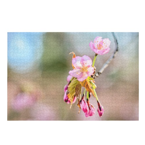 Simplicity and beauty. Japanese sakura flowers.