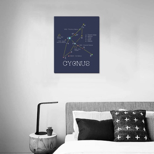 Star constellation Cygnus swan funny astronomy sky Upgraded Canvas Print 16"x20"