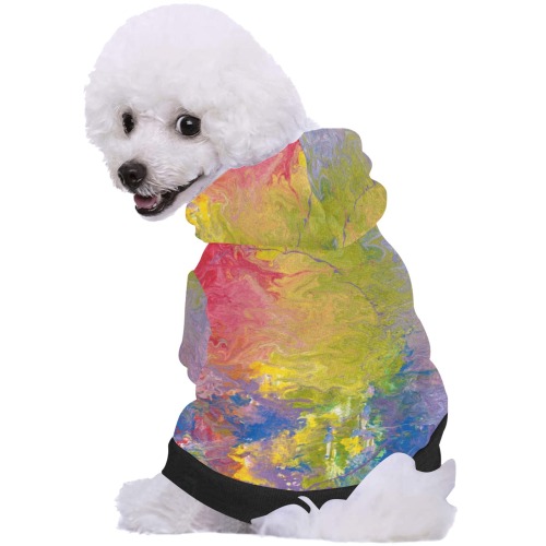 Rainbows All Around You Pet Dog Hoodie