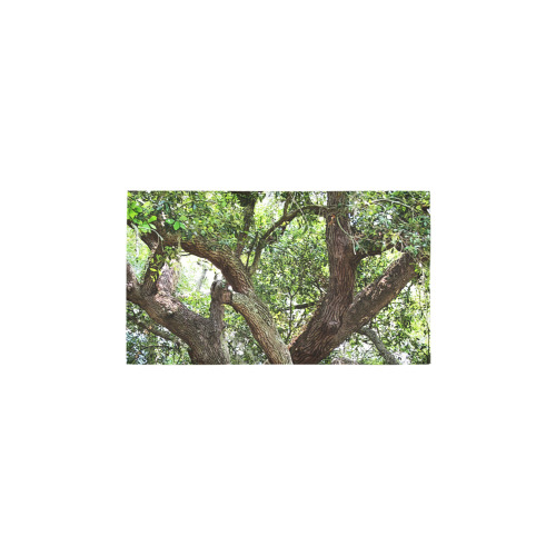 Oak Tree In The Park 7659 Stinson Park Jacksonville Florida Bath Rug 16''x 28''